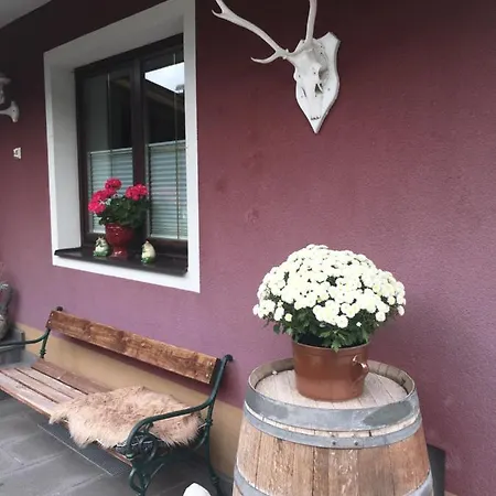Haus Gsenger アパート アプテナウ