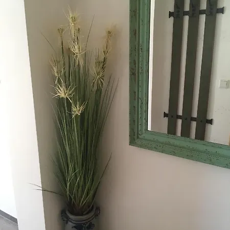 Haus Gsenger Apartment *